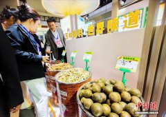 第三届玉林国际香料产业博览会开幕