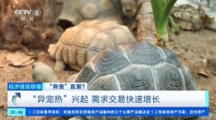 “异宠热”兴起，市场规模近百亿元！记者探访宠物市场→